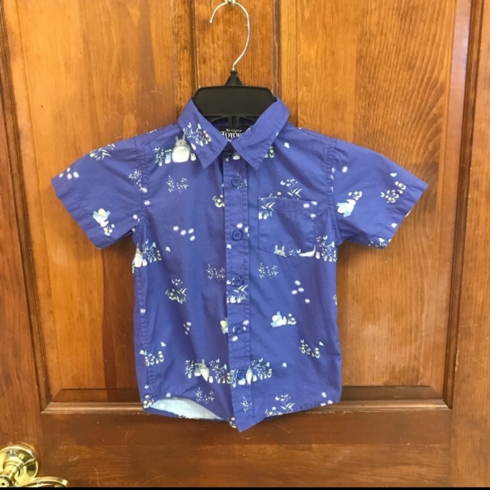 Desperately ISO!! Boys Totoro Shirt 4T/5T